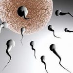 Các thuốc và sản phẩm hỗ trợ tăng cường hormone sinh dục nam
