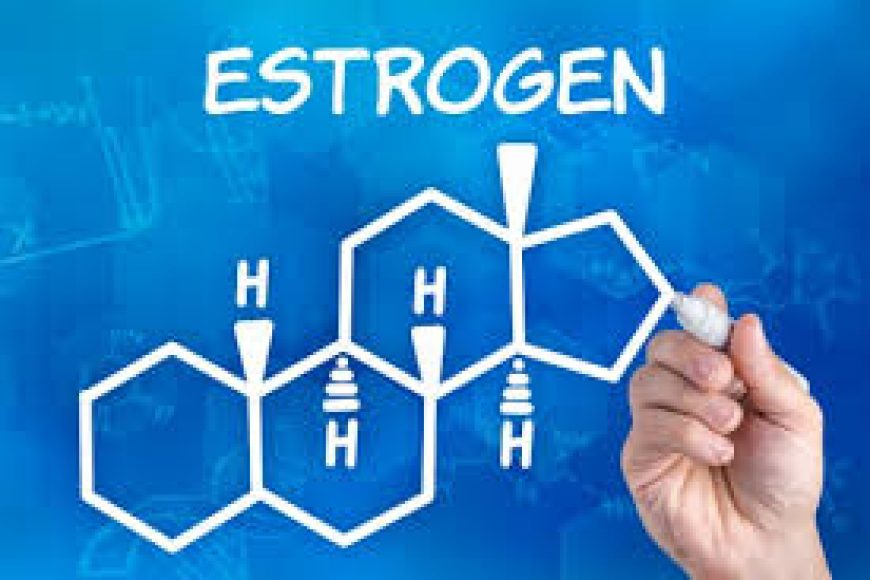 Hoocmon Estrogen là gì? Vai trò của Estrogen sinh lý nữ