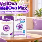 WellOva và WellOva Max khác nhau thế nào? Điểm nổi bật của bộ đôi bổ trứng E&S Việt Nam