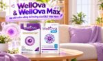 WellOva và WellOva Max khác nhau thế nào? Điểm nổi bật của bộ đôi bổ trứng E&S Việt Nam