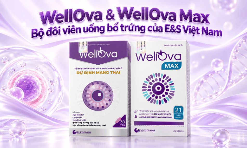 Bộ đôi viên uống bổ trứng WellOva và WellOva Max